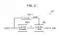 Fig. 06 - Method of compressing data and device for performing the same