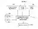Fig. 15 - Remote authentication and transaction signatures