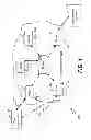 Fig. 02 - Two level addressing in storage clusters