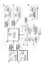 Fig. 07 - METHOD AND APPARATUS FOR INFORMATION COMPRESSION IN A WIRELESS NETWORK