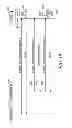 Fig. 12 - METHOD AND APPARATUS FOR INFORMATION COMPRESSION IN A WIRELESS NETWORK