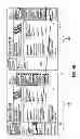 Fig. 09 - Dynamic webpage change animation