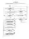 Fig. 11 - Information processing device, information processing method, information processing program, and recording medium in which information processing program is recorded