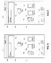 Fig. 11 - METHODS AND SYSTEMS FOR DISPLAYING TEXT USING RSVP