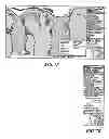 Fig. 22 - GRAPHIC-INFORMATION FLOW METHOD AND SYSTEM FOR VISUALLY ANALYZING PATTERNS AND RELATIONSHIPS