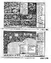 Fig. 33 - GRAPHIC-INFORMATION FLOW METHOD AND SYSTEM FOR VISUALLY ANALYZING PATTERNS AND RELATIONSHIPS
