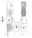Fig. 20 - METHOD AND APPARATUS FOR PROVIDING BROADCAST SERVICE THROUGH HAND MOTION DETECTION