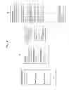 Fig. 05 - Transmission device, transmission method, and network apparatus