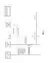 Fig. 05 - Query system and method to determine authentication capabilities