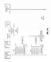 Fig. 12 - Query system and method to determine authentication capabilities