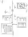 Fig. 20 - Evaluation systems and methods for coordinating software agents