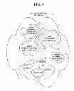 Fig. 05 - Method and system for electronic content storage and retrieval using galois fields and information entropy on cloud computing networks