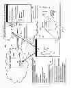 Fig. 02 - Distributed client side user monitoring and attack system