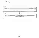 Fig. 09 - Identity protection and distribution system