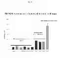Fig. 07 - Genetic markers for Myb28