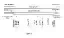 Fig. 02 - Corn plant and seed corresponding to transgenic event MON89034 and methods for detection and use thereof