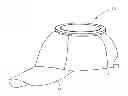 Fig. 01 - Insect Catching Hat
