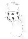 Fig. 06 - Three dimensional knee and elbow pads