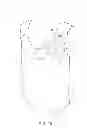 Fig. 10 - UNIVERSALLY-DIRECTED, CLOSURE-SUPPORTED, GRAVITY-CATCH, SELF-ENERGIZING, DIAGONAL POCKET APPARATUS AND METHOD