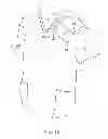 Fig. 12 - UNIVERSALLY-DIRECTED, CLOSURE-SUPPORTED, GRAVITY-CATCH, SELF-ENERGIZING, DIAGONAL POCKET APPARATUS AND METHOD