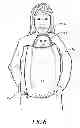 Fig. 07 - COAT EXTENSION INFANT COVER