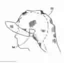 Fig. 01 - VISOR WITH INTERCHANGEABLE CLOTH HEADPIECE