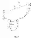 Fig. 06 - Men's Underpants