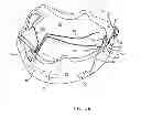 Fig. 09 - Helmet with integrated electronic components