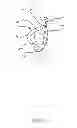 Fig. 04 - Ear protection device for athletes