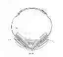 Fig. 15 - Sports goggle