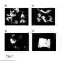 Fig. 03 - FLUSHABLE MOIST WIPE OR HYGIENE TISSUE AND A METHOD FOR MAKING IT