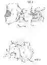 Fig. 02 - Marking template for installing a custom replacement device for resurfacing a femur and associated installation method