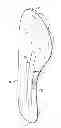 Fig. 01 - SHOE SOLE
