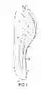 Fig. 02 - SHOE SOLE