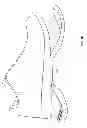 Fig. 07 - SHOE WITH RESILIENT HEEL