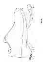 Fig. 08 - SHOE WITH RESILIENT HEEL