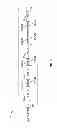 Fig. 04 - String Bug Light Termination System