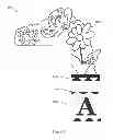 Fig. 16 - Device for enhancing a corner structure