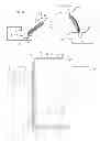 Fig. 09 - Mechanical locking system for panels and method of installing same