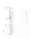 Fig. 03 - Grouper apparatus for a packaging machine and methods of grouping items for packaging