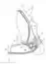Fig. 01 - Bitless Bridle with double cross under reinstraps