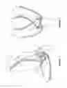 Fig. 02 - Bitless Bridle with double cross under reinstraps