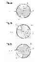 Fig. 03 - Valve device, in particular for a refrigerating machine