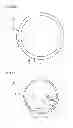Fig. 07 - Supply device, and method for supplying band-like member