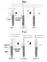 Fig. 04 - Automatic analyzer and method for determining malfunction thereof