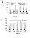 Fig. 16 - Liquid collecting permeable structures