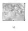Fig. 09 - Method for growing group III-nitride crystals in supercritical ammonia using an autoclave