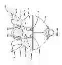 Fig. 18 - Dairy milking devices and methods