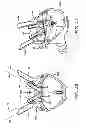 Fig. 19 - Dairy milking devices and methods
