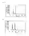 Fig. 09 - Metal complex and adsorbent material, storage material, and separating material comprising same